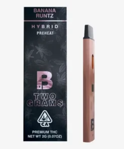 Appareils tout-en-un Blinkers Vape 2G
