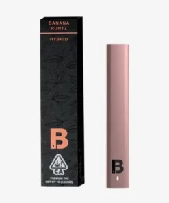 Appareils tout-en-un Blinkers Vape 1G